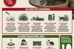 PLAKAT-IGLIWIAK-net